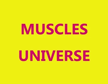 Muscle Universe 🔞