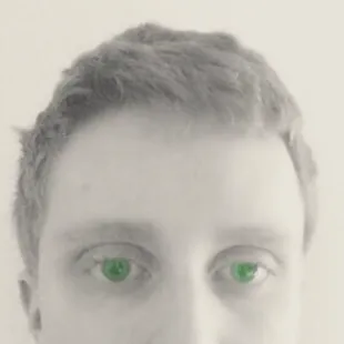 david