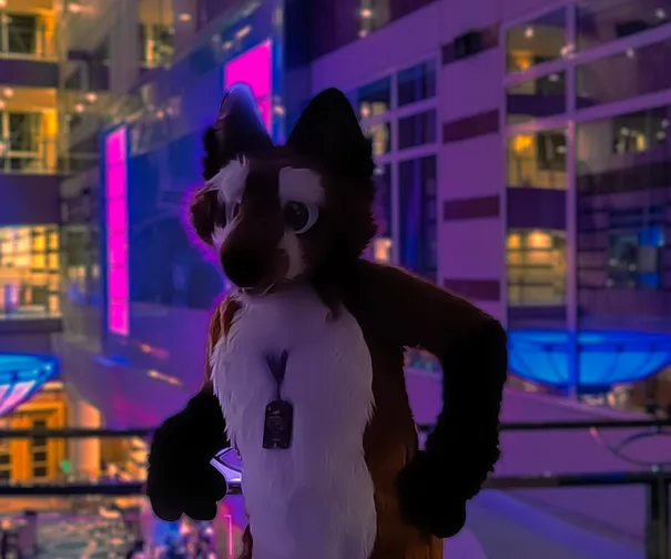 Matthew The Fox