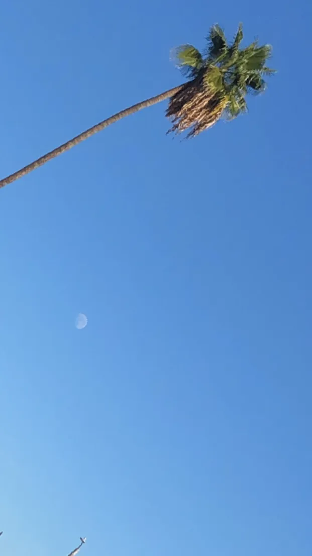 u13926584