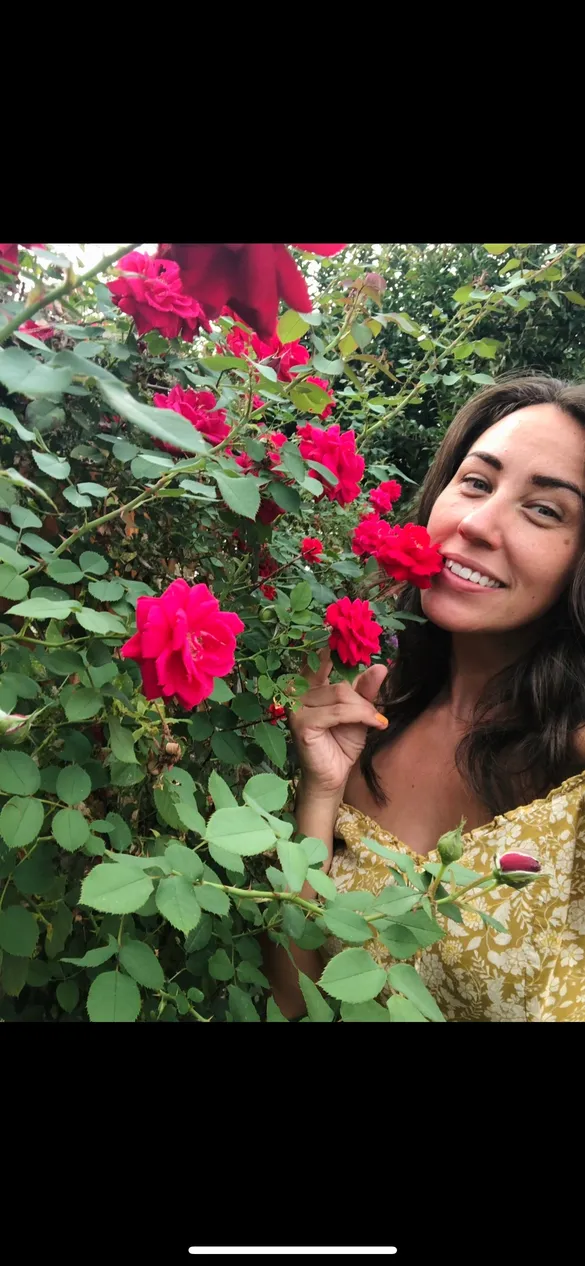 The Julie Subscription