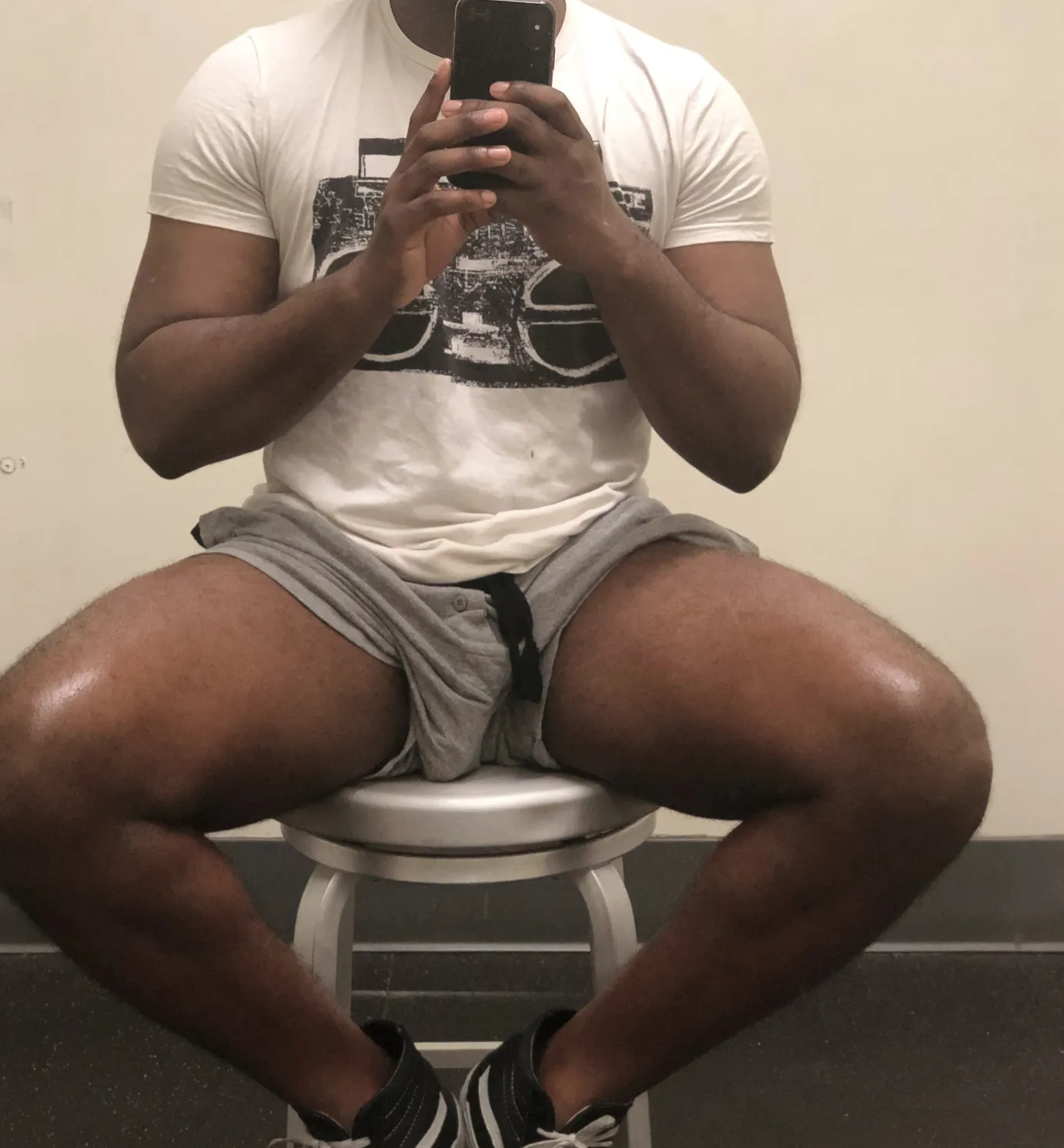 Brown_Stallion