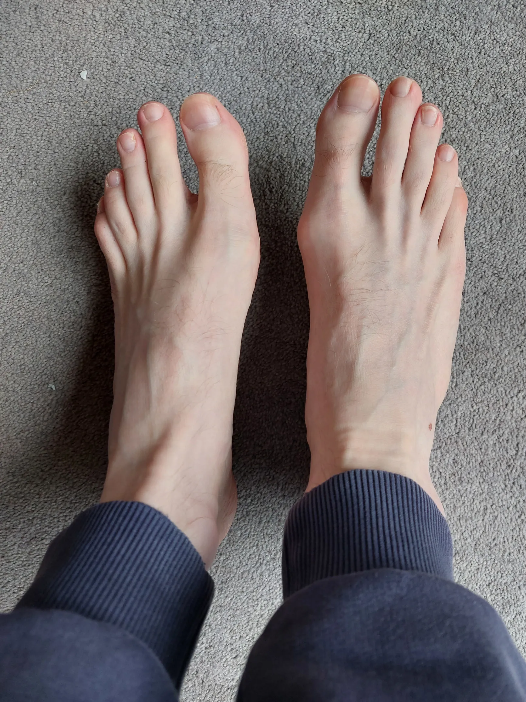 Rob Foot