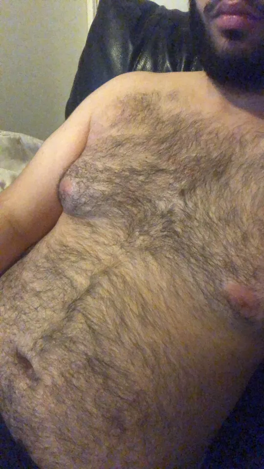 Bear boi