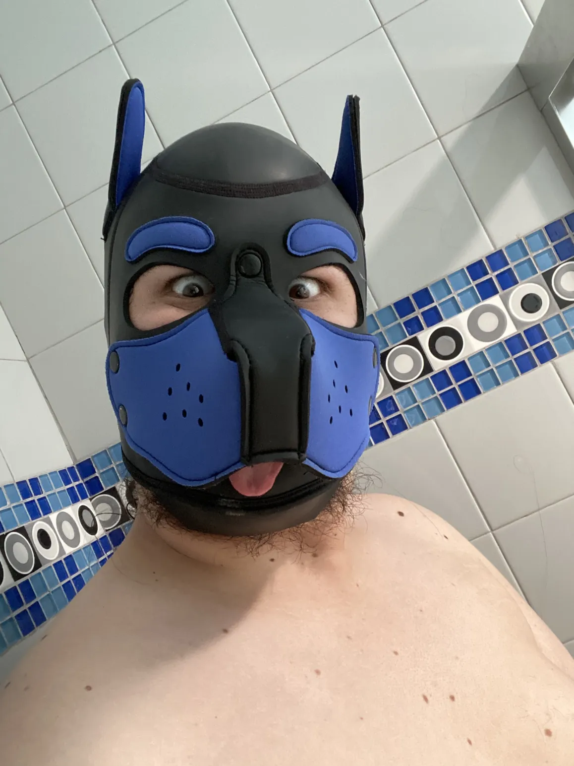 Pup Tobias