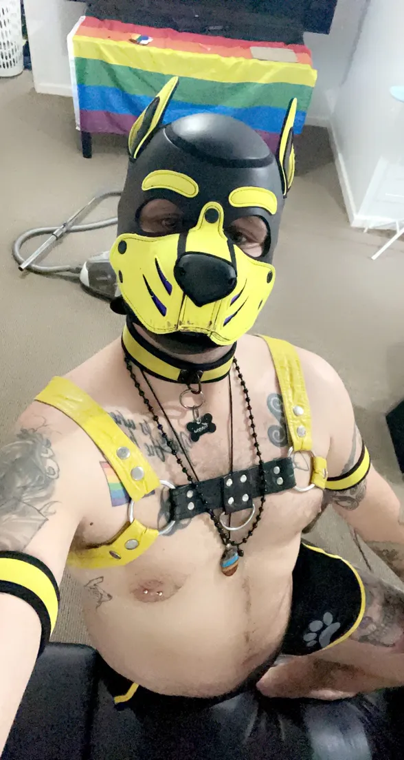 Pup_Coops