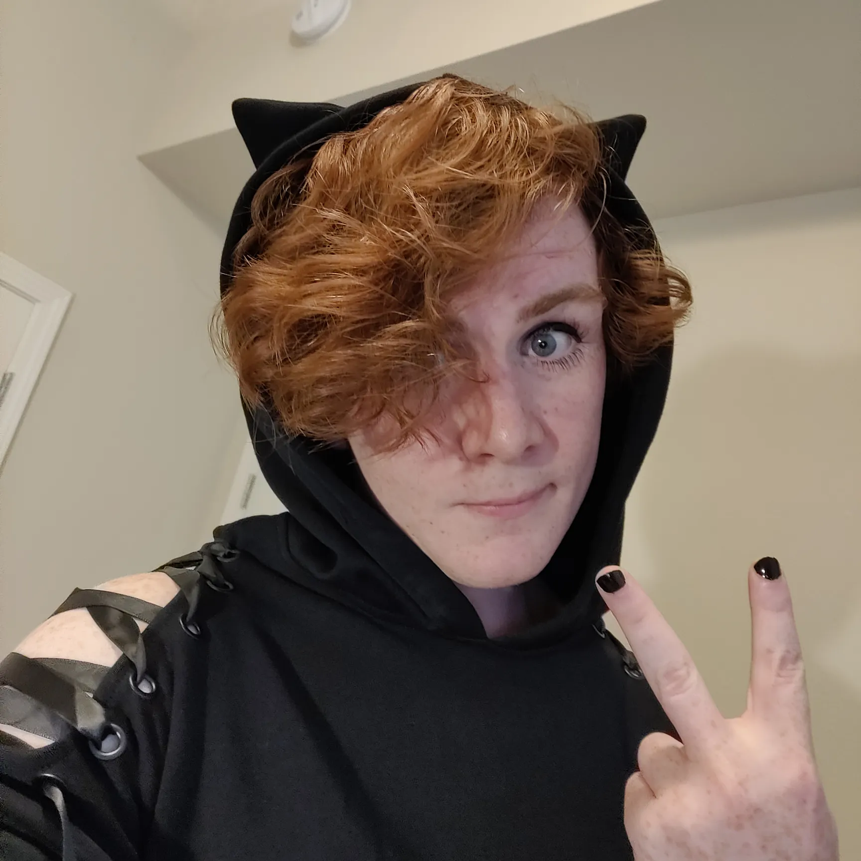 Felix The Catboy