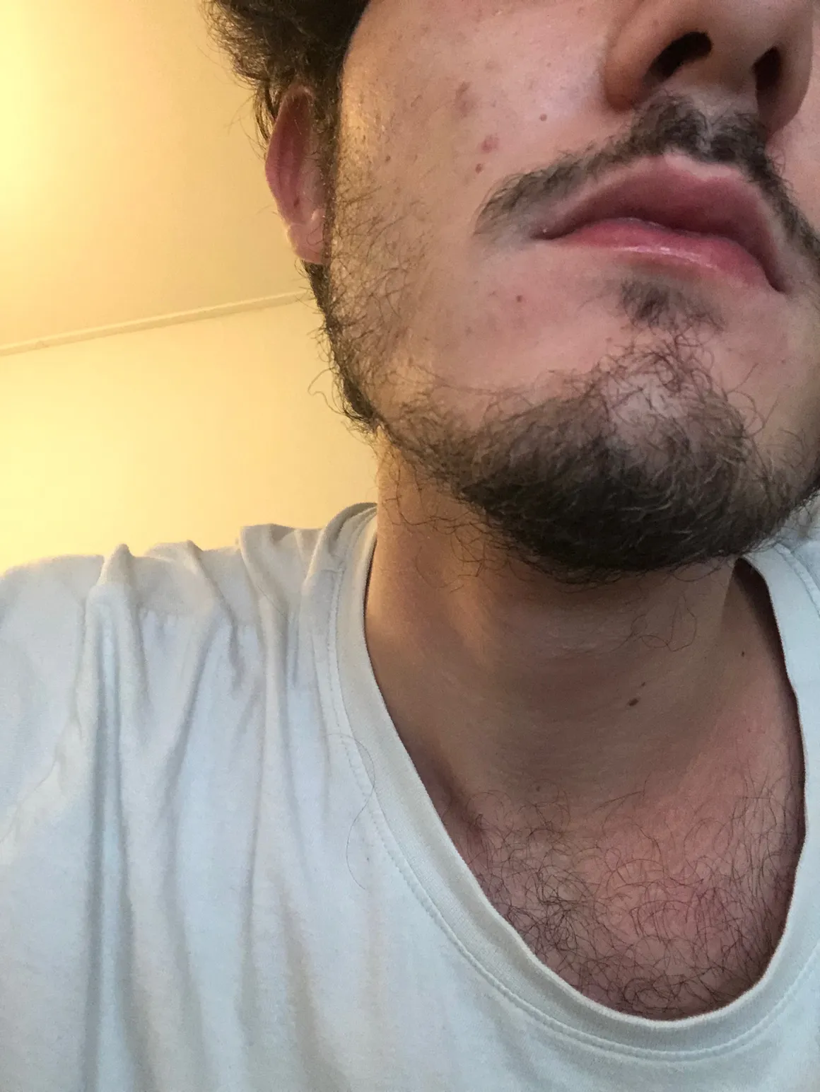 Lucasjourney