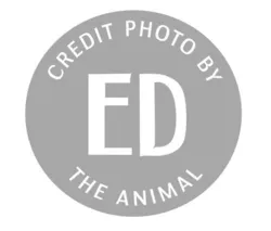 Ed The Animal