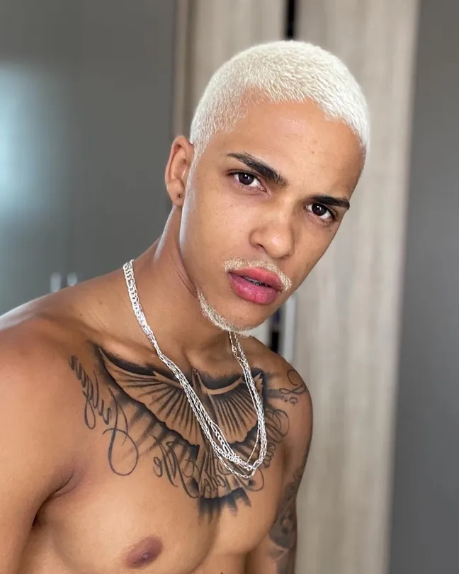 David vinicius dos santos ribeiro