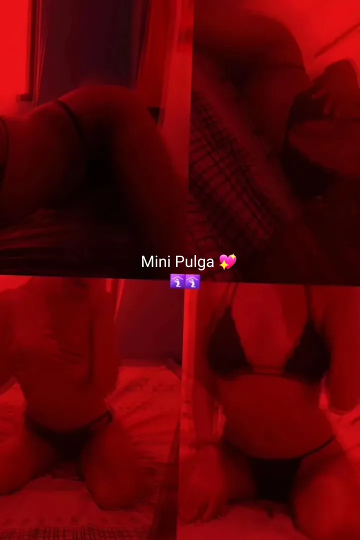 Mini Pulga💖