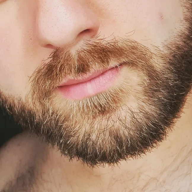 hairy_bear90