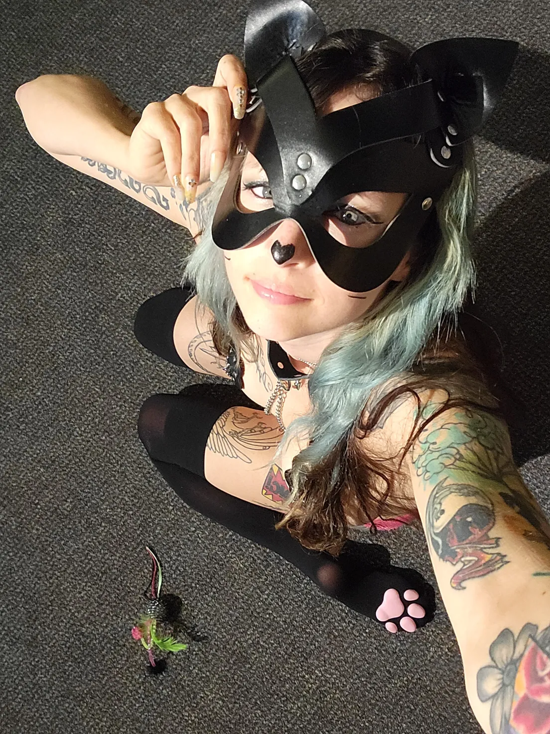 Alien fairykitten