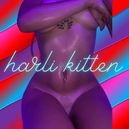 Harli Kitten