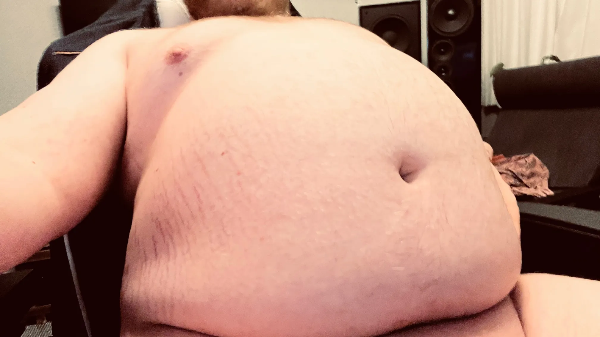 ChonkyBear98