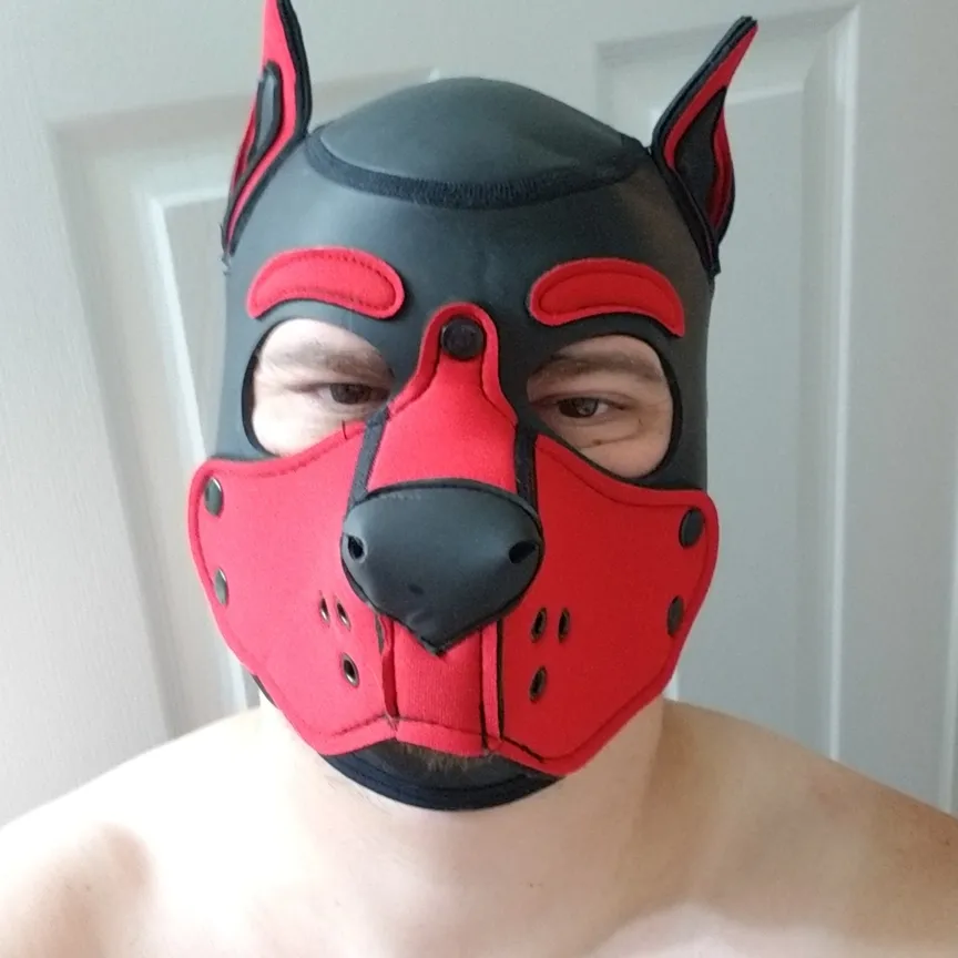 Gideon Geeky Pup