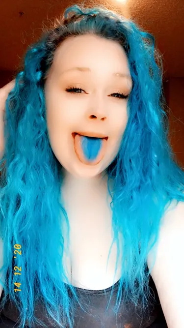 Kaytee