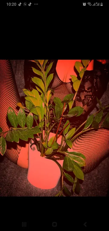 𝐿𝑒𝑡𝑀𝑒𝐵𝑒𝑇𝒉𝑒𝑂𝑛𝑒𝐹𝑜𝑟𝐴𝑙𝑙✅®️🔞🔝♀️♂️🎥📷🙊🙉👁👁