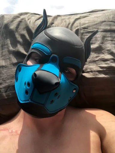 Pup Mauli Kai 🐾