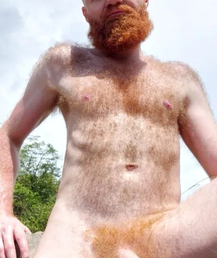 Ginger pubes